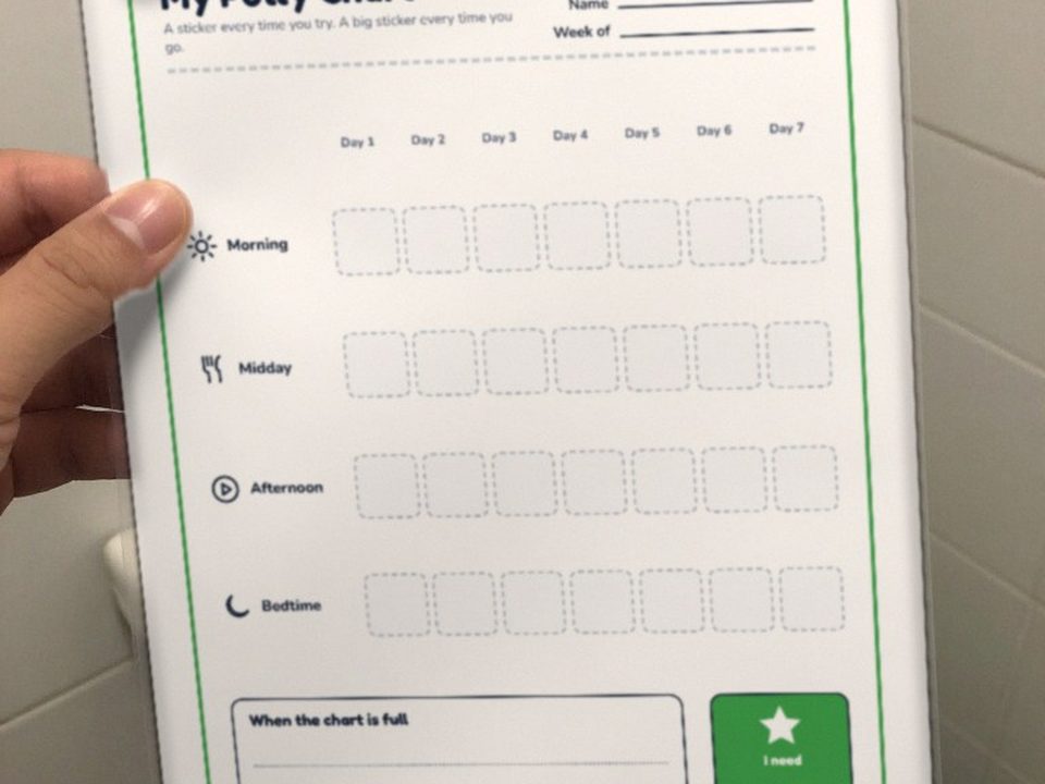Printed potty training chart in a plastic sleeve taped to the bathroom wall at seat height